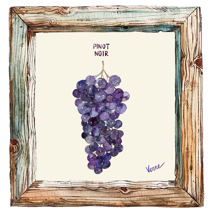 Muscat Fleur d'Oranger