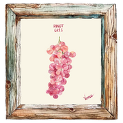 Muscat Rose à Petits Grains