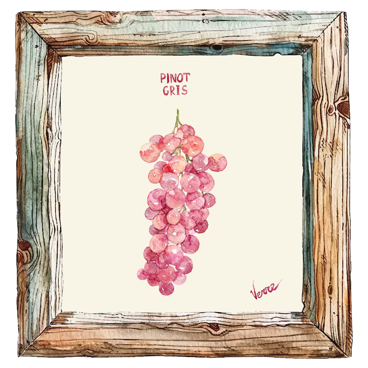Muscat Rose à Petits Grains