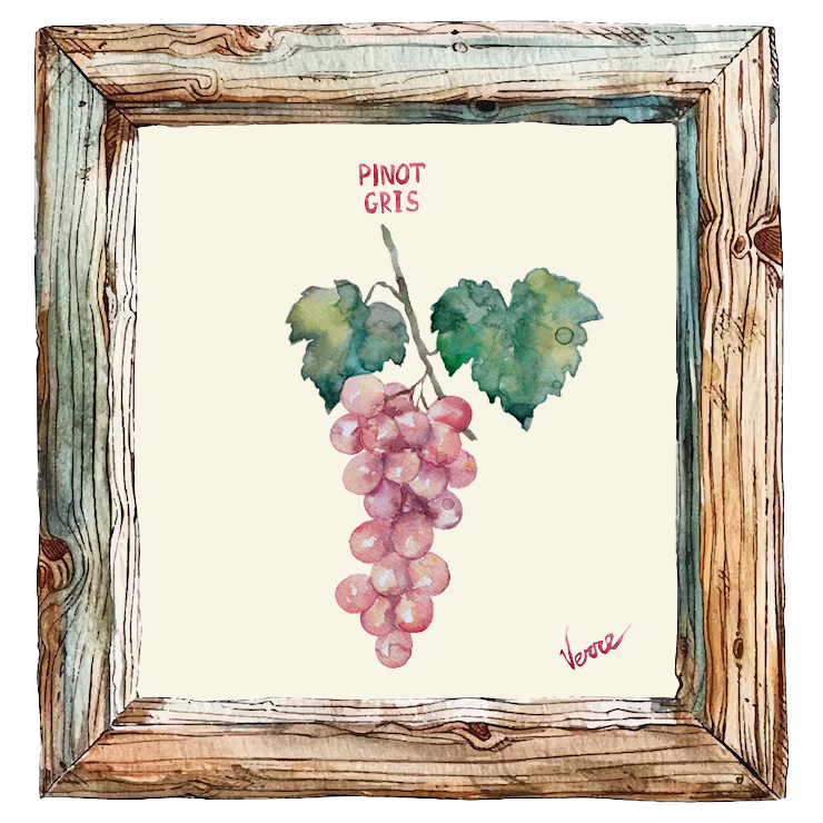 Muscat Rose à Petits Grains