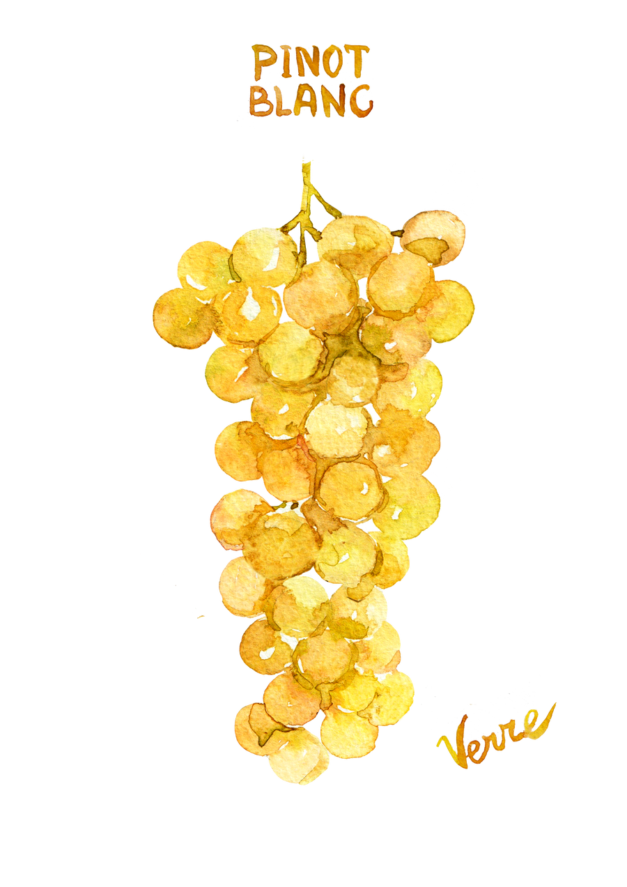 Muscat de Hambourg