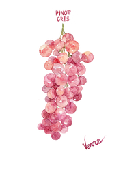 Muscat Rose à Petits Grains