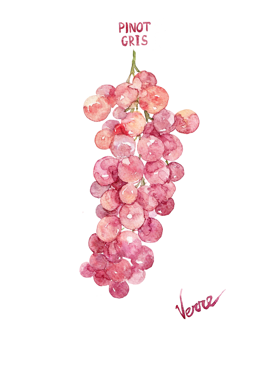 Muscat Rose à Petits Grains